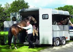 Normal_boeckmann_traveller_horse_trailer