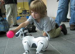 Normal_aibo_ers-7_following_pink_ball_held_by_child