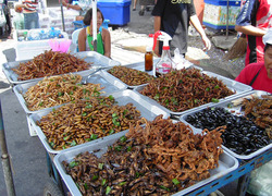 Normal_insect_food_stall