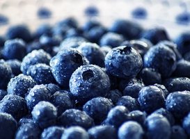 Normal_blueberry-3460423__340