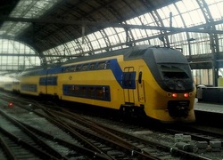 Normal_8161