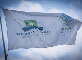 Universiteit Wageningen nog steeds beste van Nederland, maar zakt in ranglijst
