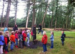 natuurmonumenten, kinderen, bos natuurmonumenten, kinderen, bos