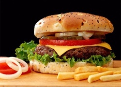 Normal_hamburger2