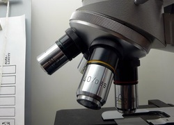 Normal_microscoop_laboratorium_medisch_onderzoek_isabella_006