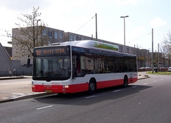 Normal_bus_veolia