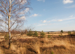 Normal_duinen_natuur