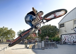 Normal_bmx