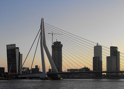 Normal_rotterdam