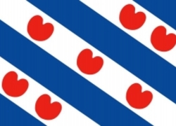 Friese vlag