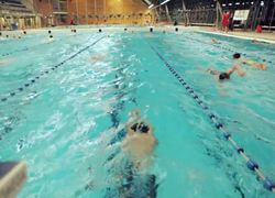 zwemmen school ede gelderland