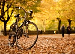 fiets in de herfst