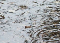 thorbecke scholengemeenschap zwolle waterschap