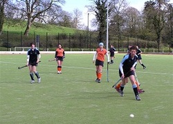 universiteit leiden kunstgras sport