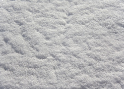 Britse scholen dicht vanwege hevige sneeuw Britse scholen dicht vanwege hevige sneeuw