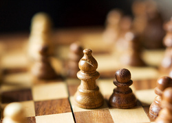 den haag schaaktoernooi basisscholen 2013