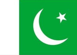 De pakistaanse vlag 