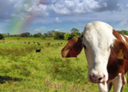 HAS, Bedrijfskunde en agribusiness, Hoge Agrarische School HAS, Bedrijfskunde en agribusiness, Hoge Agrarische School