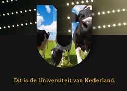 Universiteit van Nederland, UvN, Online colleges