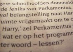 Normal_dyslexie_lezen_school_kinderen_onderwijs