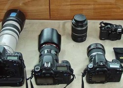 cursus natuurfotografie groene welle zwolle