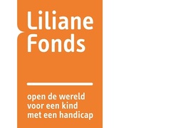 Logo Liliane Fonds Logo Liliane Fonds