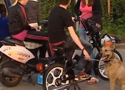 Normal_hangjongeren_hangjeugd_jongeren_scooter