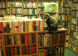 Boeken Boeken