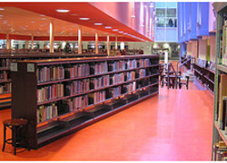 Bibliotheek, digitalisering, universiteitsbibliotheken