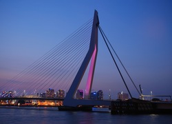 Rotterdam, hoger opgeleiden, hoger onderwijs