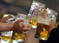 Bier, alcohol Bier, alcohol