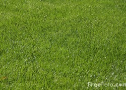 voetbaltoernooi voetbaltoernooi