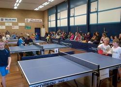 tafeltennis basisscholen franeker tafeltennis basisscholen franeker