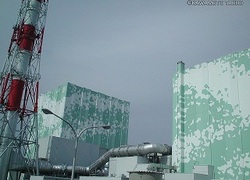 Fukushima reactor