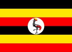 on the ground reporter uganda roosmarijn