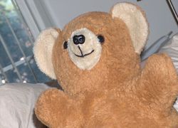 Teddybeer