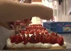 varendonck bakkerij zummerke technasium varendonck bakkerij zummerke technasium