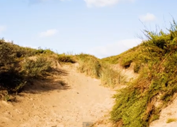 cursus duinen ivn oegstgeest cursus duinen ivn oegstgeest