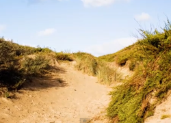 cursus duinen ivn oegstgeest