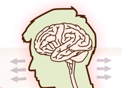 Thin Bizzy voor jongeren met ADHD en overgewicht Thin Bizzy voor jongeren met ADHD en overgewicht