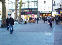 Studenten doen aan duurzaamheid in Utrecht Studenten doen aan duurzaamheid in Utrecht