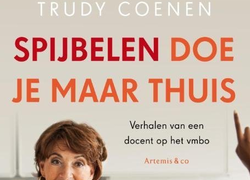 Boek Spijbelen doe je maar thuis over docent in het vmbo