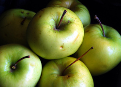 Schoolfruit voor leerlingen De Twa Fisken in Grou