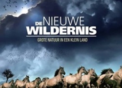 Normal_poster-film-de-nieuwe-wildernis