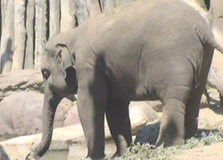 Kinderopvang: samenwerking dierenpark en medisch centrum