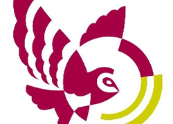 Vernieuwde website KPC Groep Vernieuwde website KPC Groep