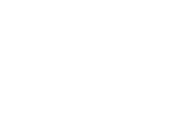 Logo_nso