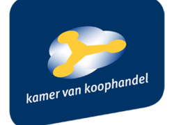 Workshop De meerwaarde van online ondernemen Workshop De meerwaarde van online ondernemen
