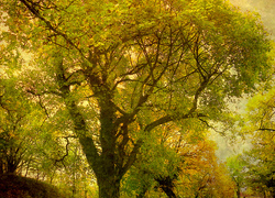Westlands Natuur en Milieueducatie-programma Westlands Natuur en Milieueducatie-programma