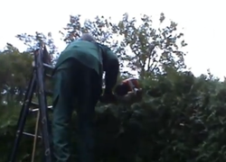 Snoeiende mbo-studenten in Hardenberg Snoeiende mbo-studenten in Hardenberg